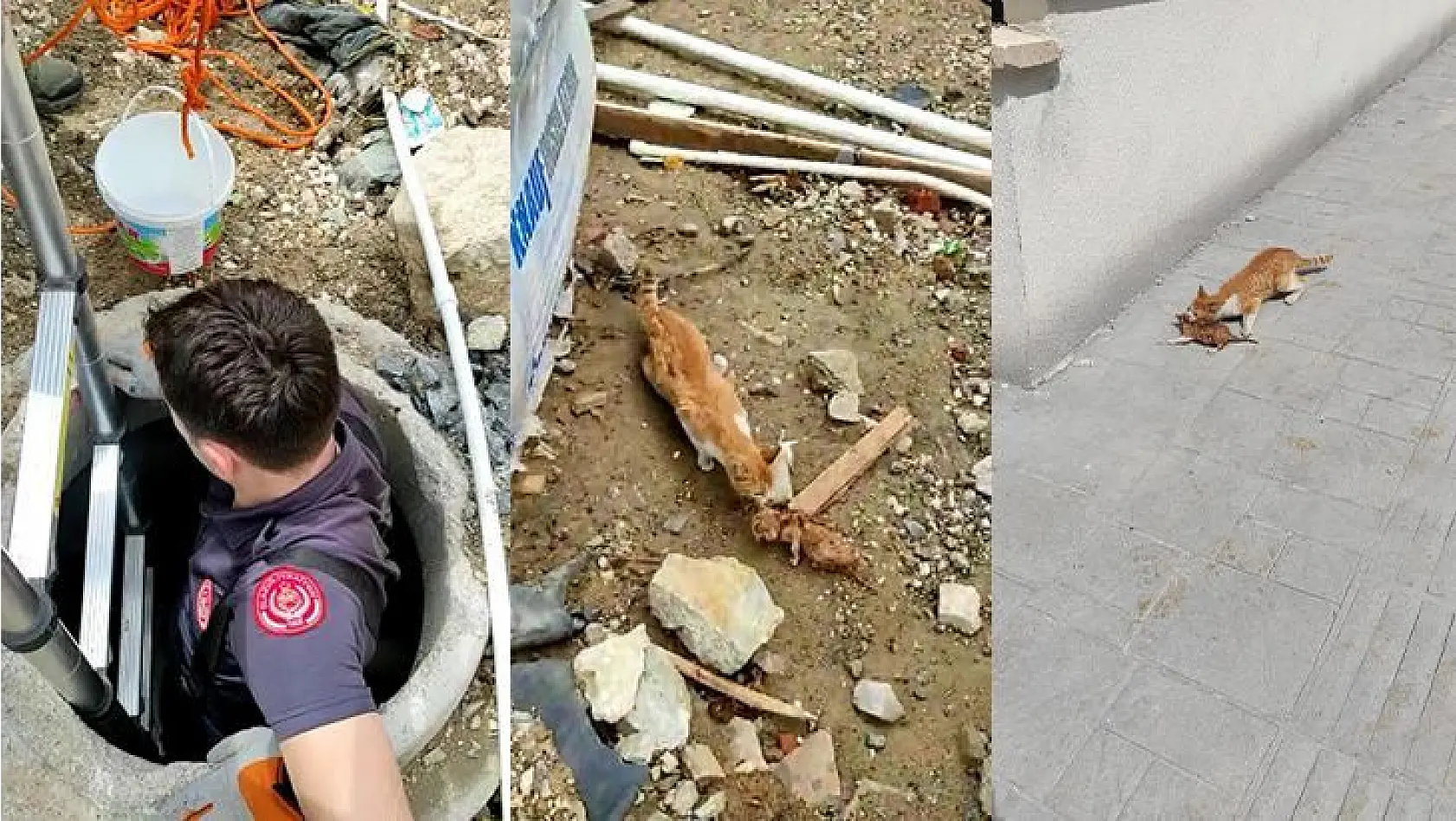 Elazığ'da Su Kuyusuna Düşen Yavru Kediyi İtfaiye Kurtardı