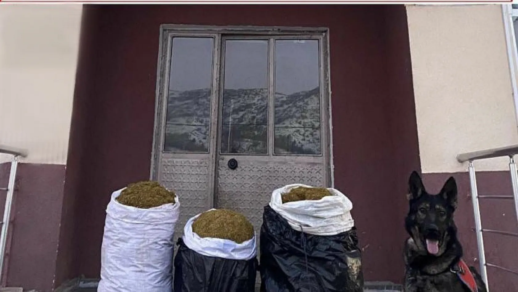 'Yaba' kokladı, Bingöl'de 75 kilo kıyılmış tütün ele geçirildi