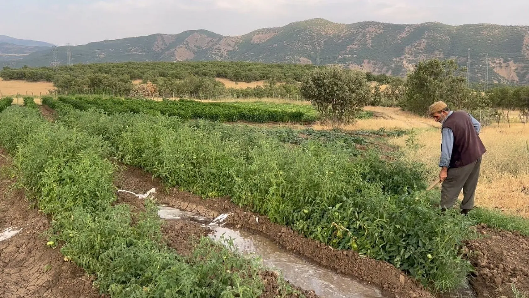 16 yıldır kiraladığı tarlalarda sebze yetiştirip geçimini sağlıyor