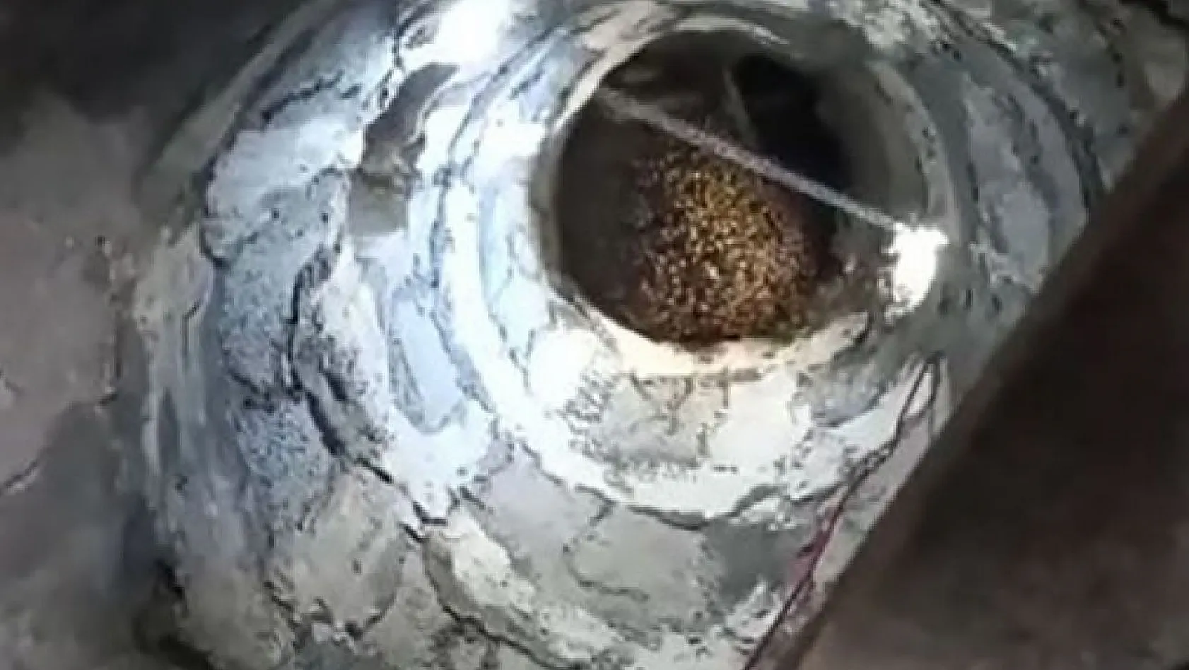 Bingöl'de arılar, cami minaresine yuva yaptı