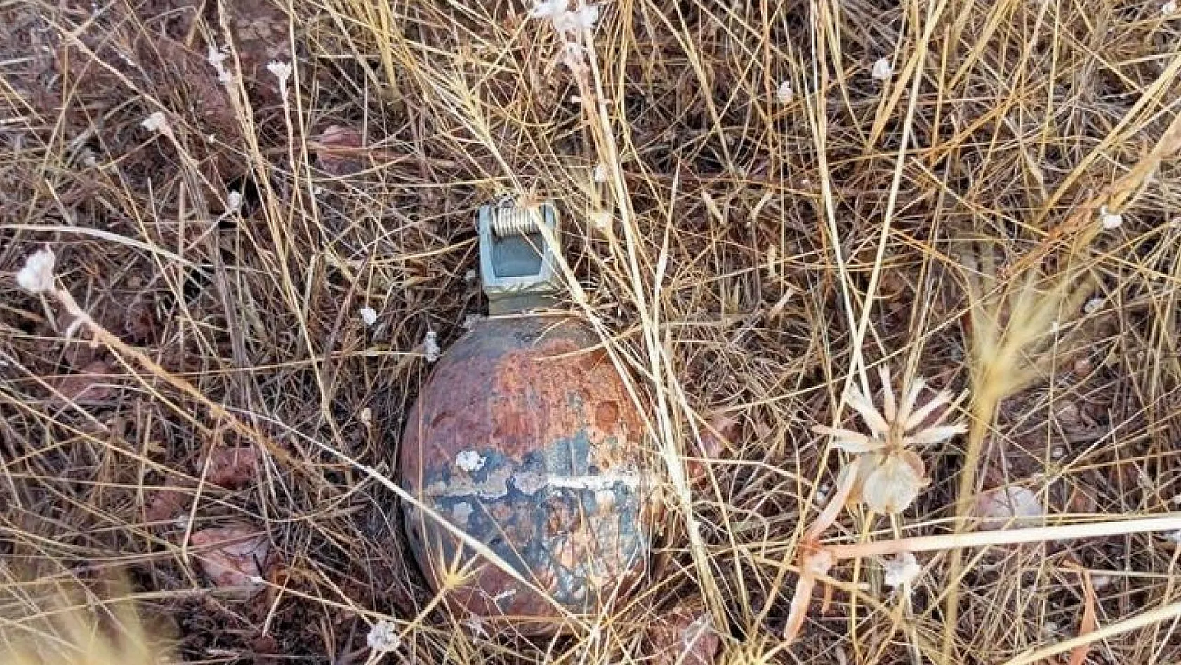 Bingöl'de el bombası ve mayın imha edildi