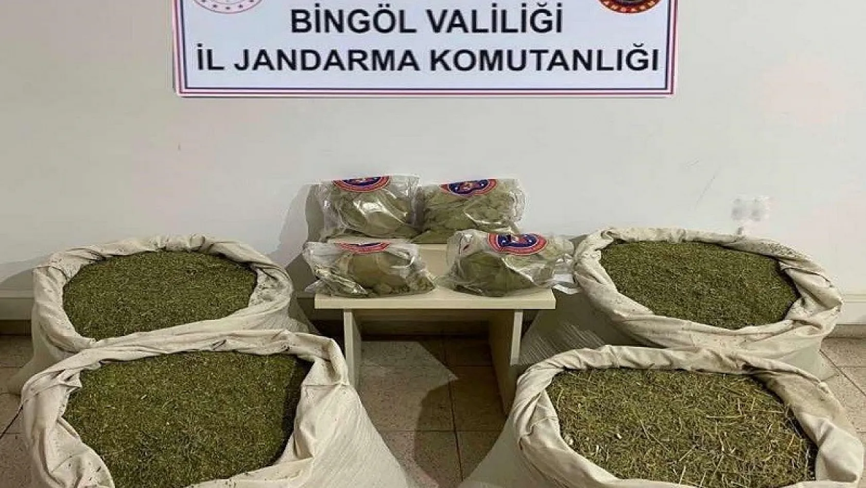 Bingöl'de Kökünü Kurutma Operasyonu: 145 kilo esrar ele geçirildi