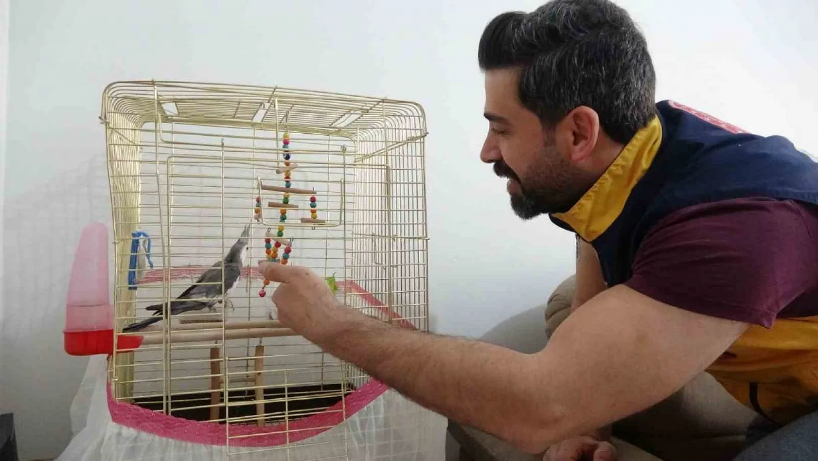 Depremin 10'uncu gününde enkazdan canlı çıkan papağanı sağlık personeli sahiplendi