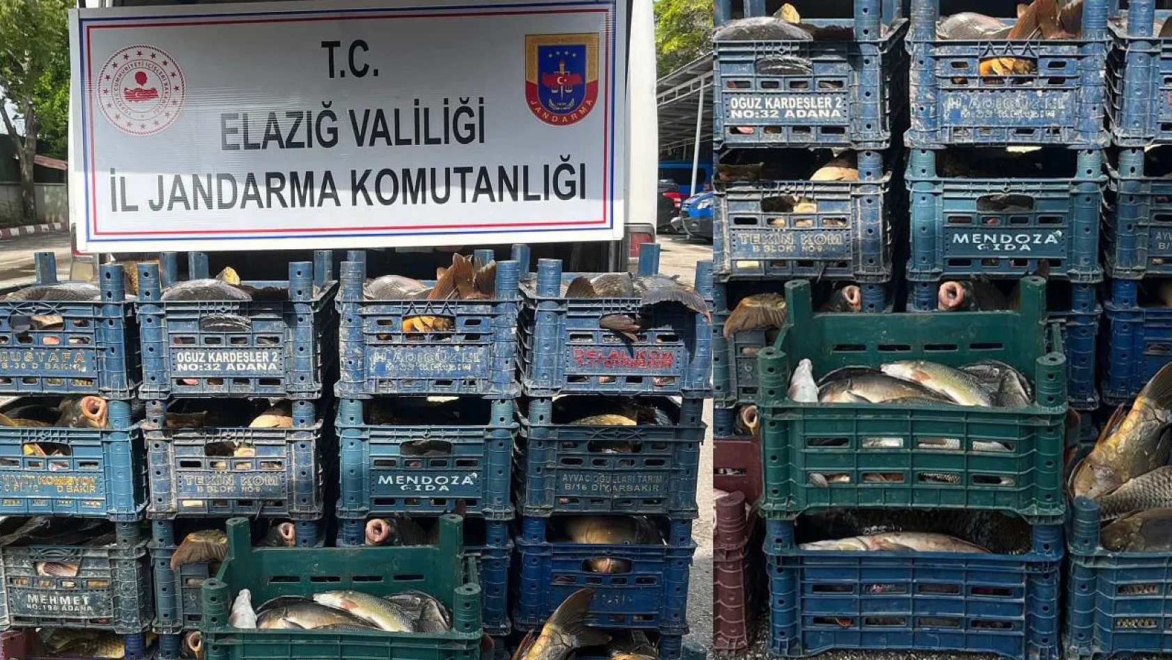 Elazığ'da Kaçak Avlanan 1 Ton 400 Kilo Balık Ele Geçirildi