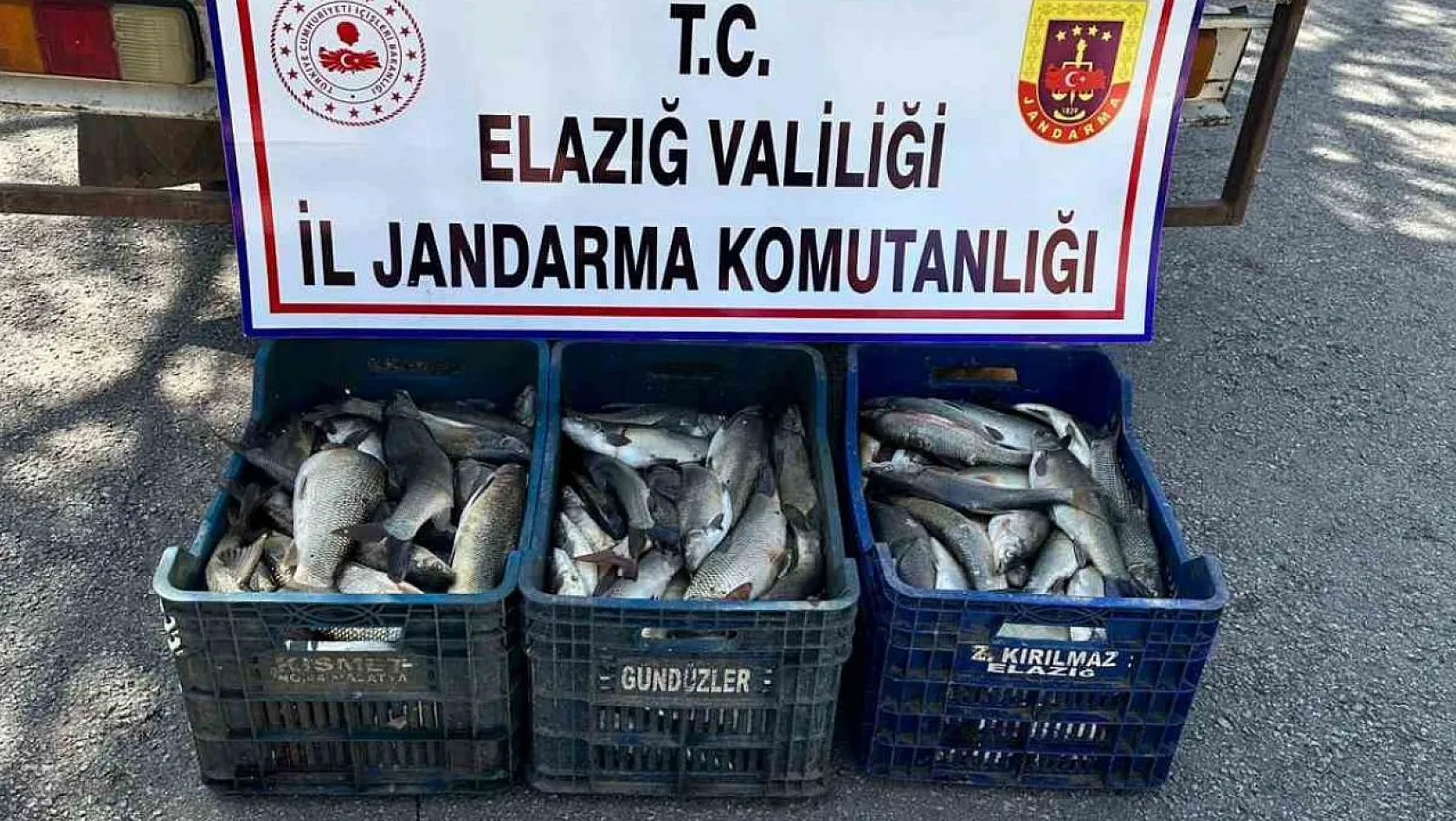 Elazığ'da kaçak balık avı yapan şüpheli yakalandı