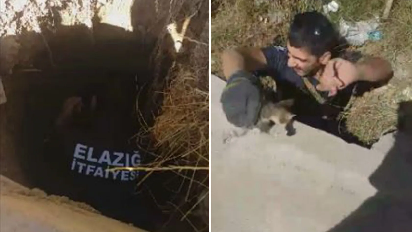 Elazığ'da kuyuya düşen kediyi itfaiye ekipleri kurtardı
