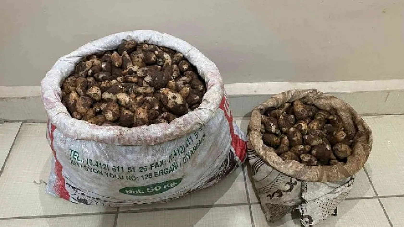 Elazığ'da Salep Soğanı Toplayan 4 Kişiye 436 Bin Lira Para Cezası