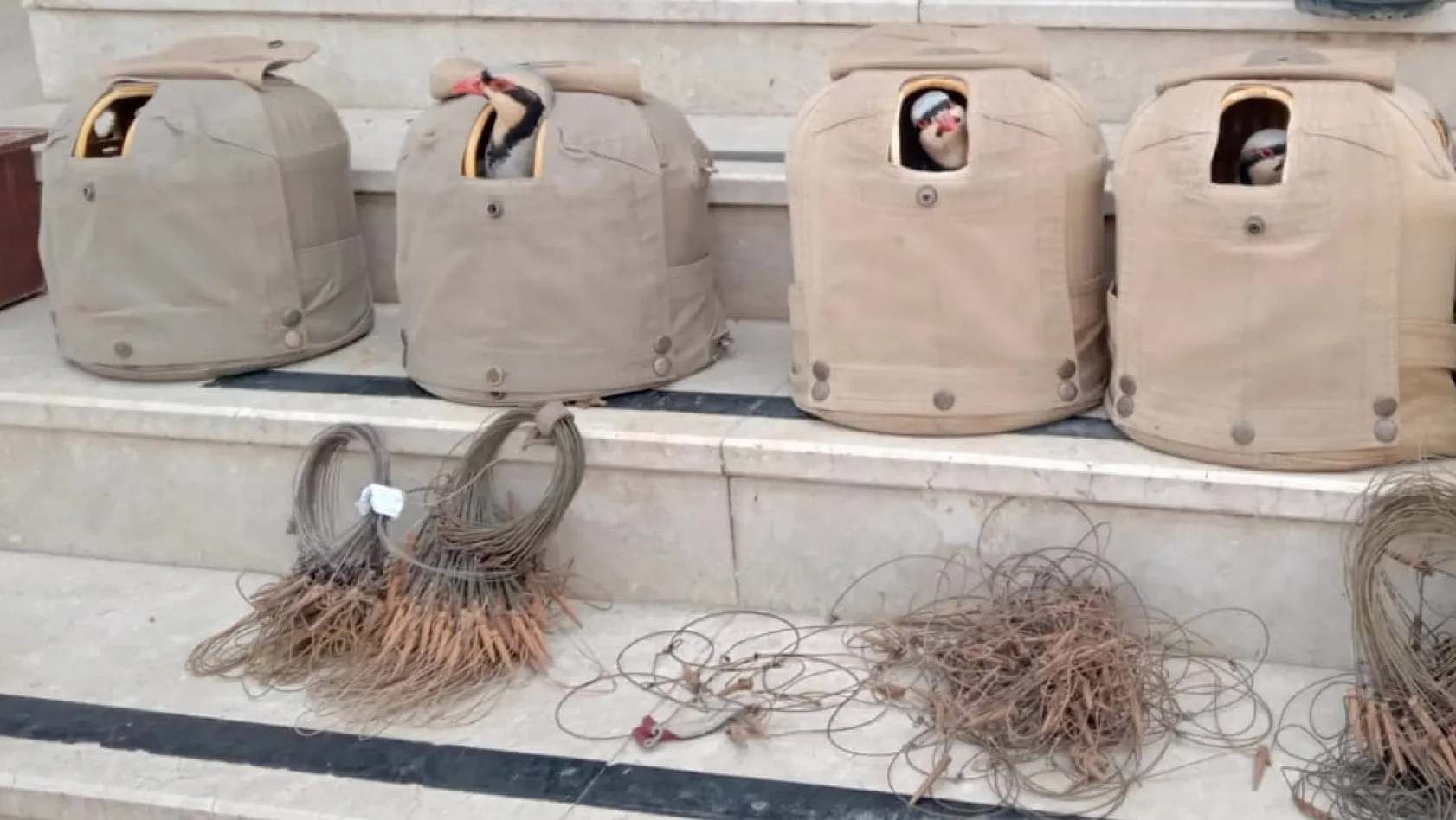 Elazığ'da yasa dışı avcılık yapan 4 kişi hakkında idari işlem yapıldı