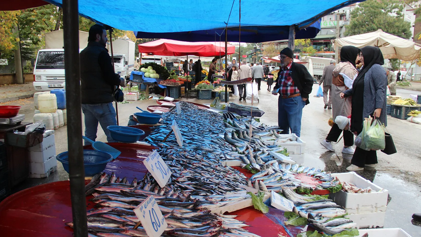 Elazığ Pazarının Balık Fiyatları Vatandaşları Şaşırttı!