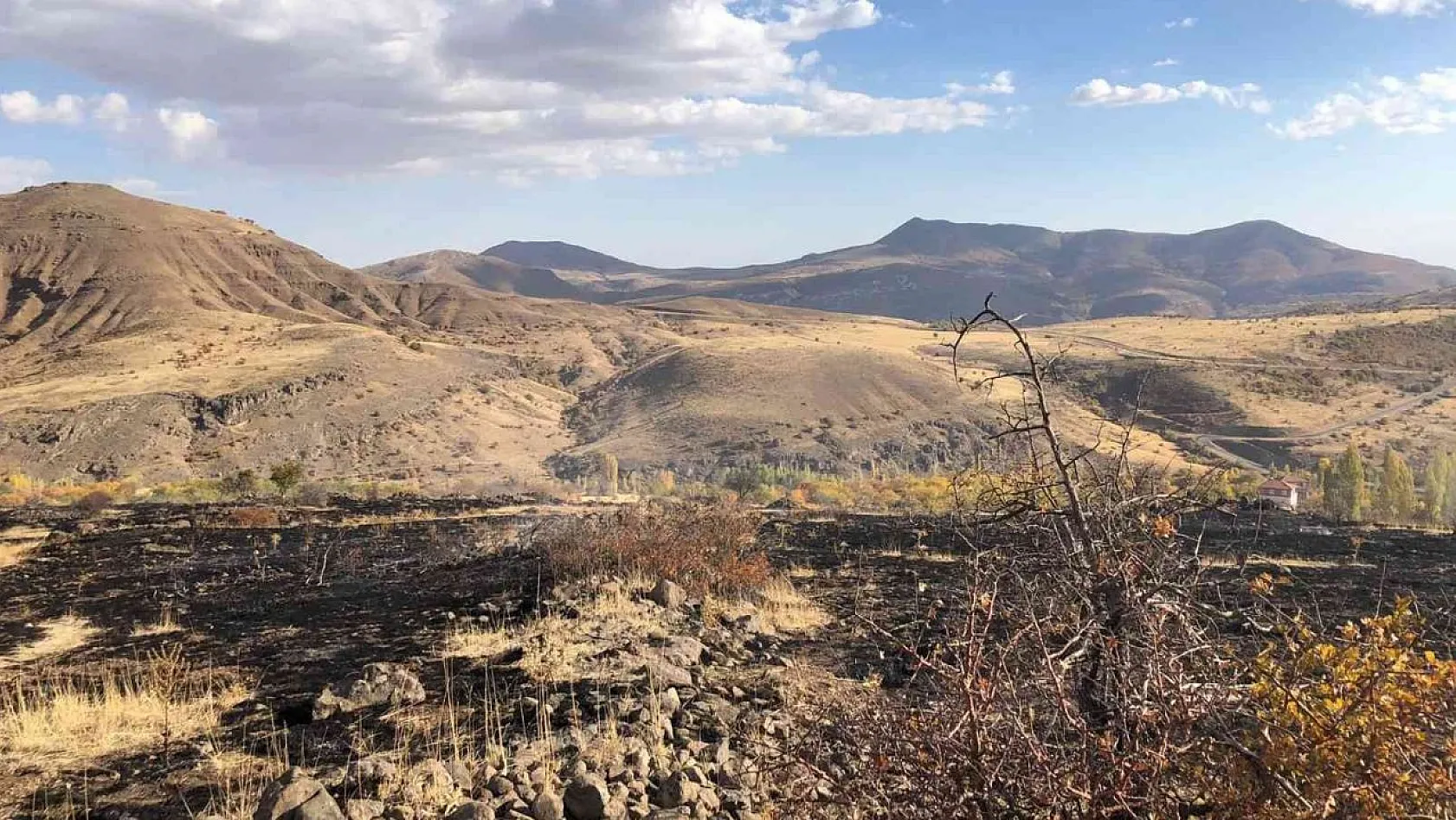 Hekimhan'da arazi yangını: 8 dönüm zarar gördü