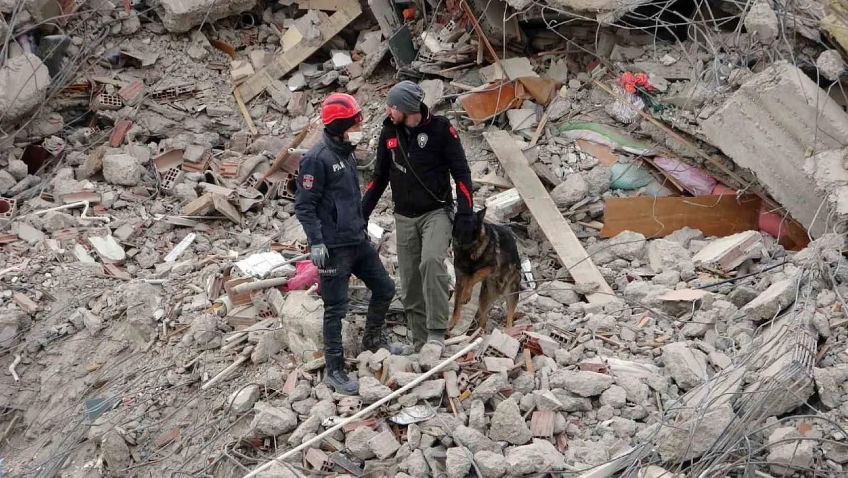 Malatya'da arama kurtarma köpekleri devrede