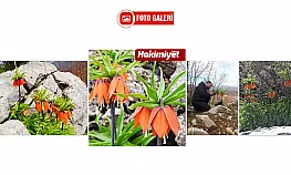 Cebinizde 244 bin lira olmadan bu çiçeği kopartmayın