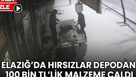 Tunceli-Elazığ Karayolunda Tır Otomobilin Üzerine Devrildi: 2 Yaralı