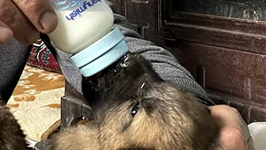 Milletvekili Demirbağ, Yürekleri Isıtan O Elazığlı İle Buluştu