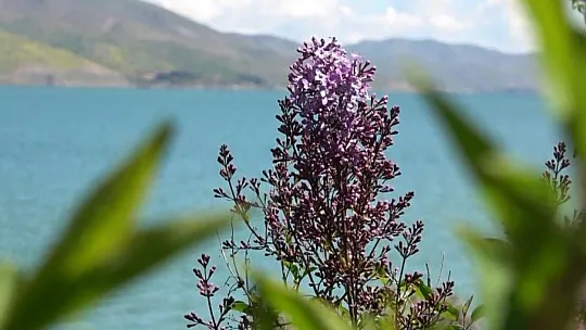 Doğal Güzellikleriyle Bilinen Sivrice, Misafirlerini Bekliyor