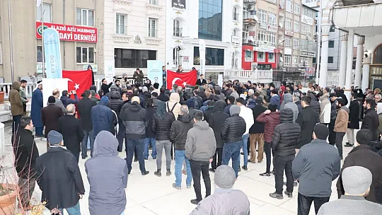Demirbağ: 'İsveç, Ateşle Oynuyor'