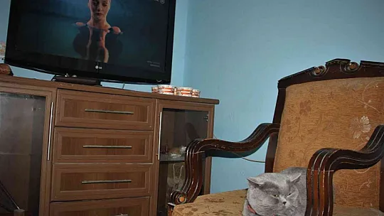 9 kiloluk 'Çiko' zayıflamak için diyete başladı