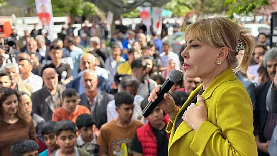 Açık: Kovancılar ve Palu Bölgesi'nde Organize Sanayi Bölgesi Kurulmalı