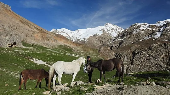 Munzur Dağları'ndaki Yılkı Atları Görüntülendi