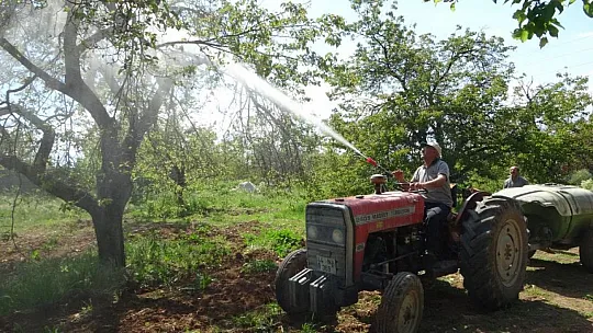Kayısı, Düşük Rekolte Tehlikesiyle Karşı Karşıya