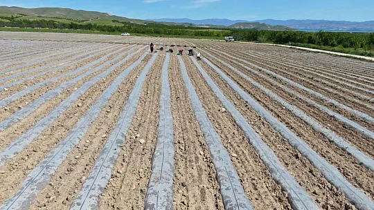 Elazığ'da Deprem Tarımı da Vurdu