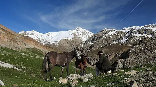 Munzur Dağları'ndaki Yılkı Atları Görüntülendi