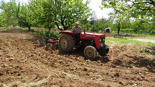 Kayısı, Düşük Rekolte Tehlikesiyle Karşı Karşıya