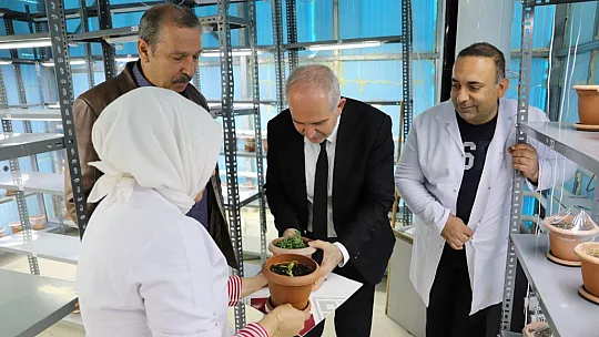 Fırat Üniversitesi, Endemik Bitkileri Doğaya Kazandırmaya Devam Ediyor