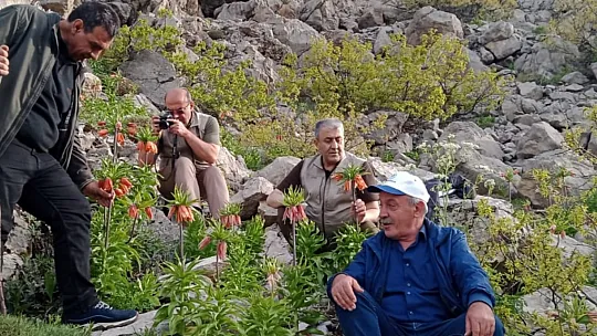 Elazığ'da 'Ters Lale' Devri