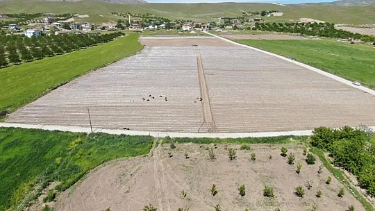 Elazığ'da Deprem Tarımı da Vurdu