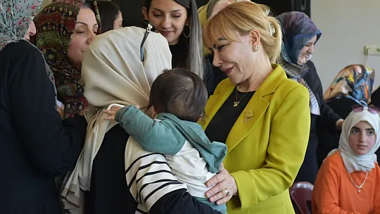 Açık: Kovancılar ve Palu Bölgesi'nde Organize Sanayi Bölgesi Kurulmalı