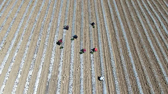 Elazığ'da Deprem Tarımı da Vurdu