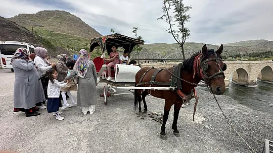 Palu'da Fayton Devri Başladı!