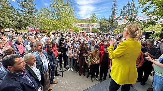Açık: Kovancılar ve Palu Bölgesi'nde Organize Sanayi Bölgesi Kurulmalı