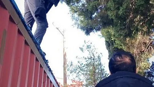 Polis Kurtardı, Kızılay Sahiplendi, Adı 'Afet' Oldu