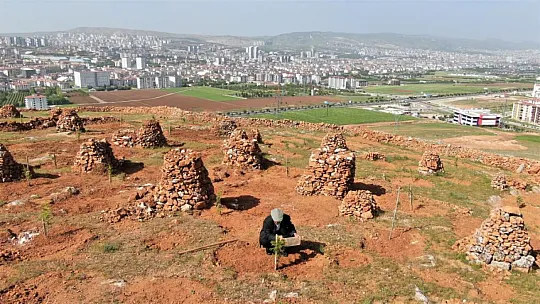 Elazığ'ın 'Doğa' Kahramanı 77'lik İsmail Dede...