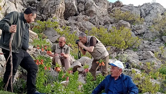 Elazığ'da 'Ters Lale' Devri