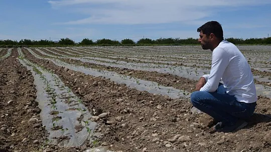 Elazığ'da Deprem Tarımı da Vurdu