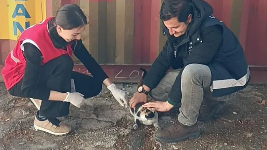 Polis Kurtardı, Kızılay Sahiplendi, Adı 'Afet' Oldu