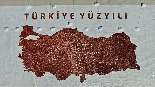 Elazığ'ın Domatesi Sanata Dönüştü