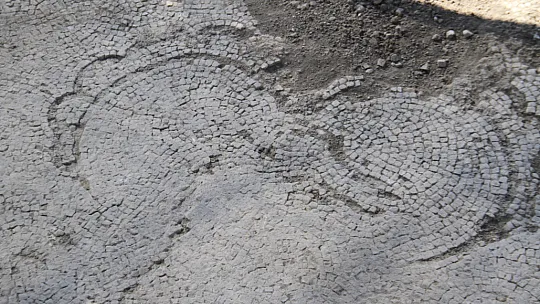 Elazığlı Çiftçinin Tarlada Bulduğu Tarihi Taban Mozaikleri Gün Yüzüne Çıkarılıyor