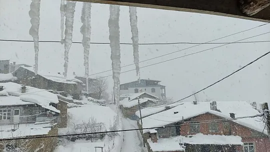 Arıcak Kara Teslim Oldu