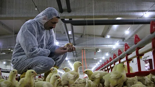 Şehir Hayatından Sıkıldı, Devletten Aldığı Destek İle Köye Dönüp Çiftlik Kurdu