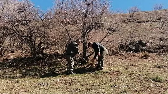 Elazığ'da Yaban Hayatı Ve Kaçak Avcılar, Foto kapanlarla Tespit Ediliyor