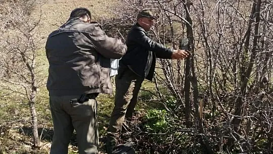 Elazığ'da Yaban Hayatı Ve Kaçak Avcılar, Foto kapanlarla Tespit Ediliyor