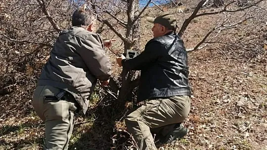 Elazığ'da Yaban Hayatı Ve Kaçak Avcılar, Foto kapanlarla Tespit Ediliyor