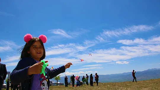 Elazığ'da 'Engelsiz Uçurtma Şenliği' Renkli Görüntülere Sahne Oldu