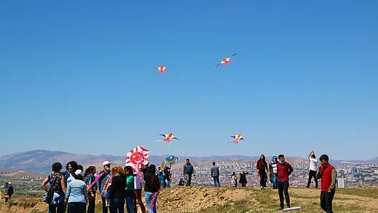 Elazığ'da 'Engelsiz Uçurtma Şenliği' Renkli Görüntülere Sahne Oldu