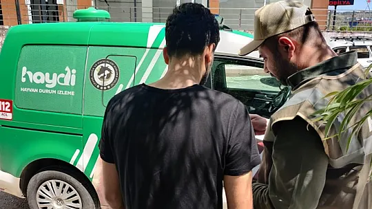 Aracıyla Ezdiği Kediyi Ölüme Terk Eden Şahsa Ceza