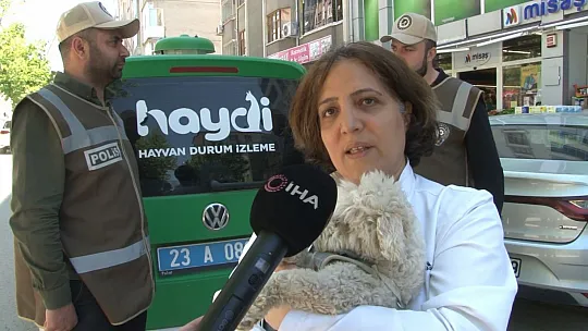 Aracıyla Ezdiği Kediyi Ölüme Terk Eden Şahsa Ceza